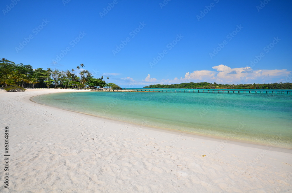 Summer Beach on the Island