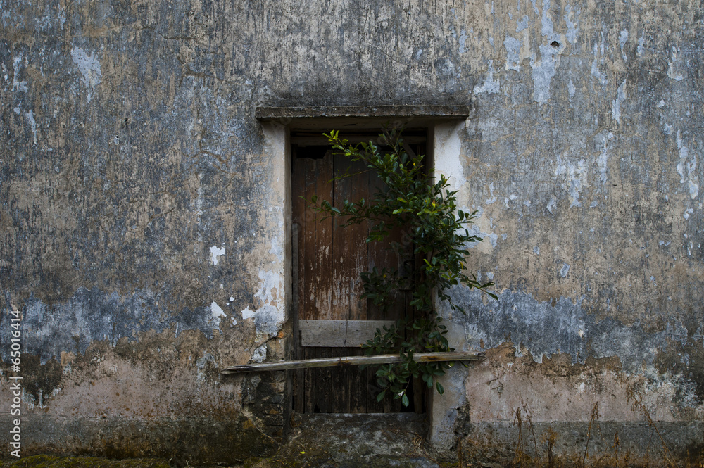 Fototapeta premium The image of building and architectural style