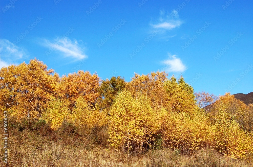 The image of travel destinations in Beijing,Asia