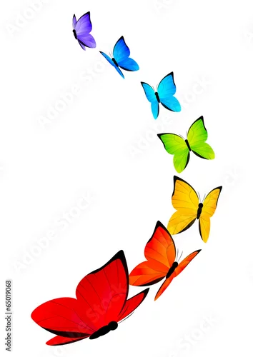Naklejka na ścianę Tęczowe motyle granicy dla twojego projektu