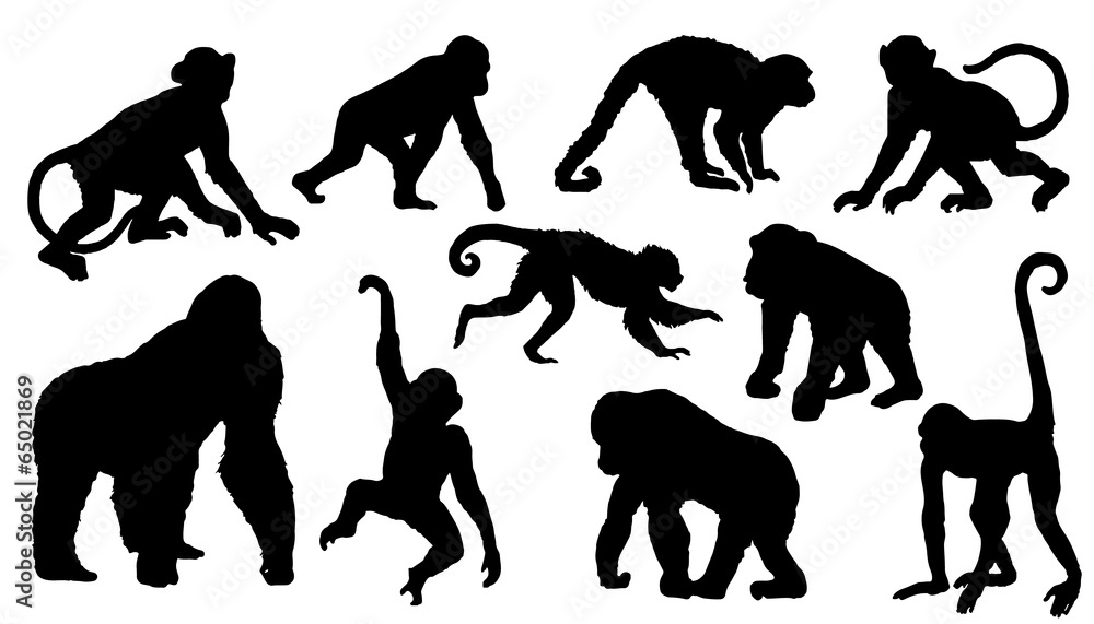 monkey silhouettes - obrazy, fototapety, plakaty 