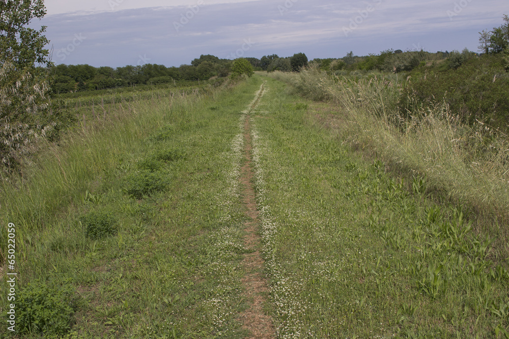 Walking road in the countryside