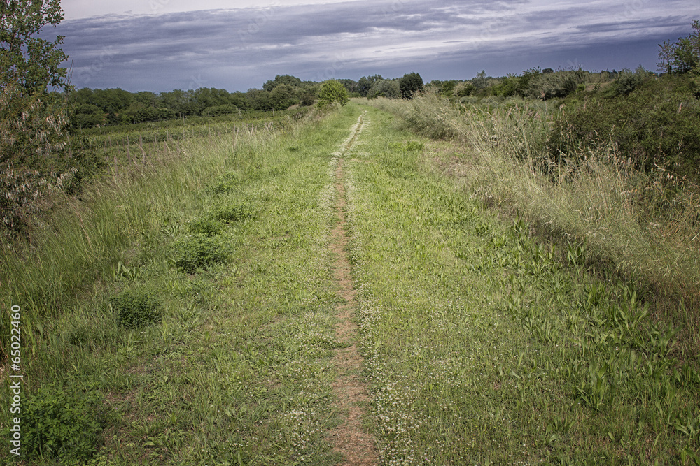 Walking road in the countryside