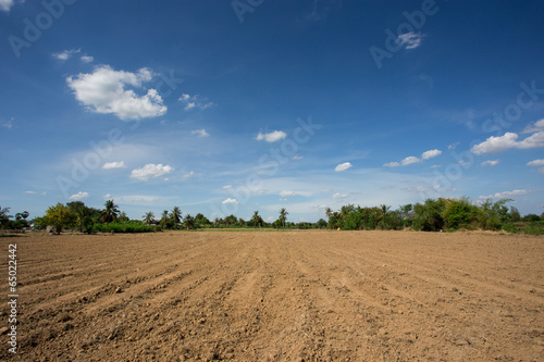 prepare plantation with blue sky photo