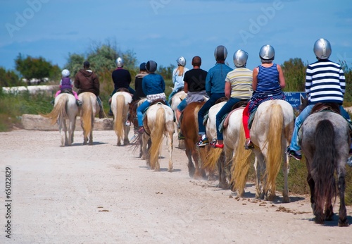 Promenade à cheval, en Camargue, Bouches-du-Rhône, Gard, Occitanie, France.
