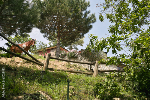 horse in a factory