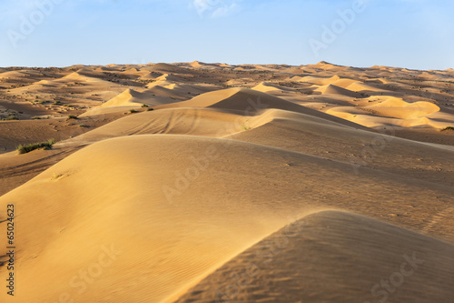 Desert Wahiba Oman