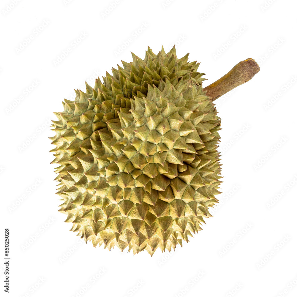 durian fruit on white background durian fruit on white background