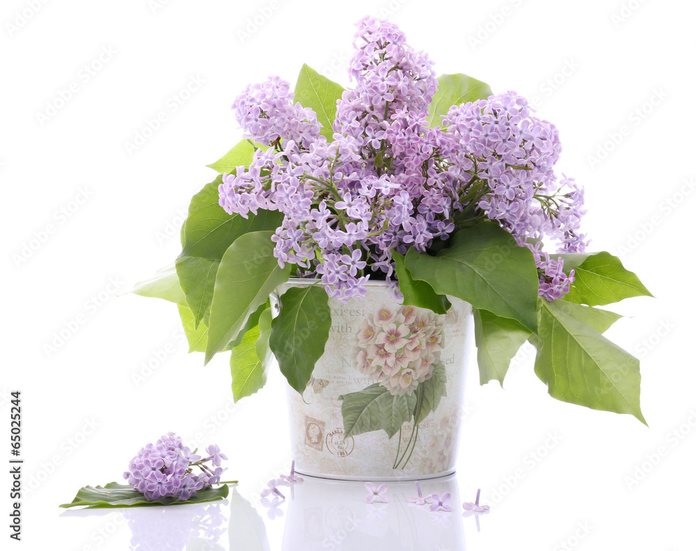 Lilac flowers - obrazy, fototapety, plakaty 