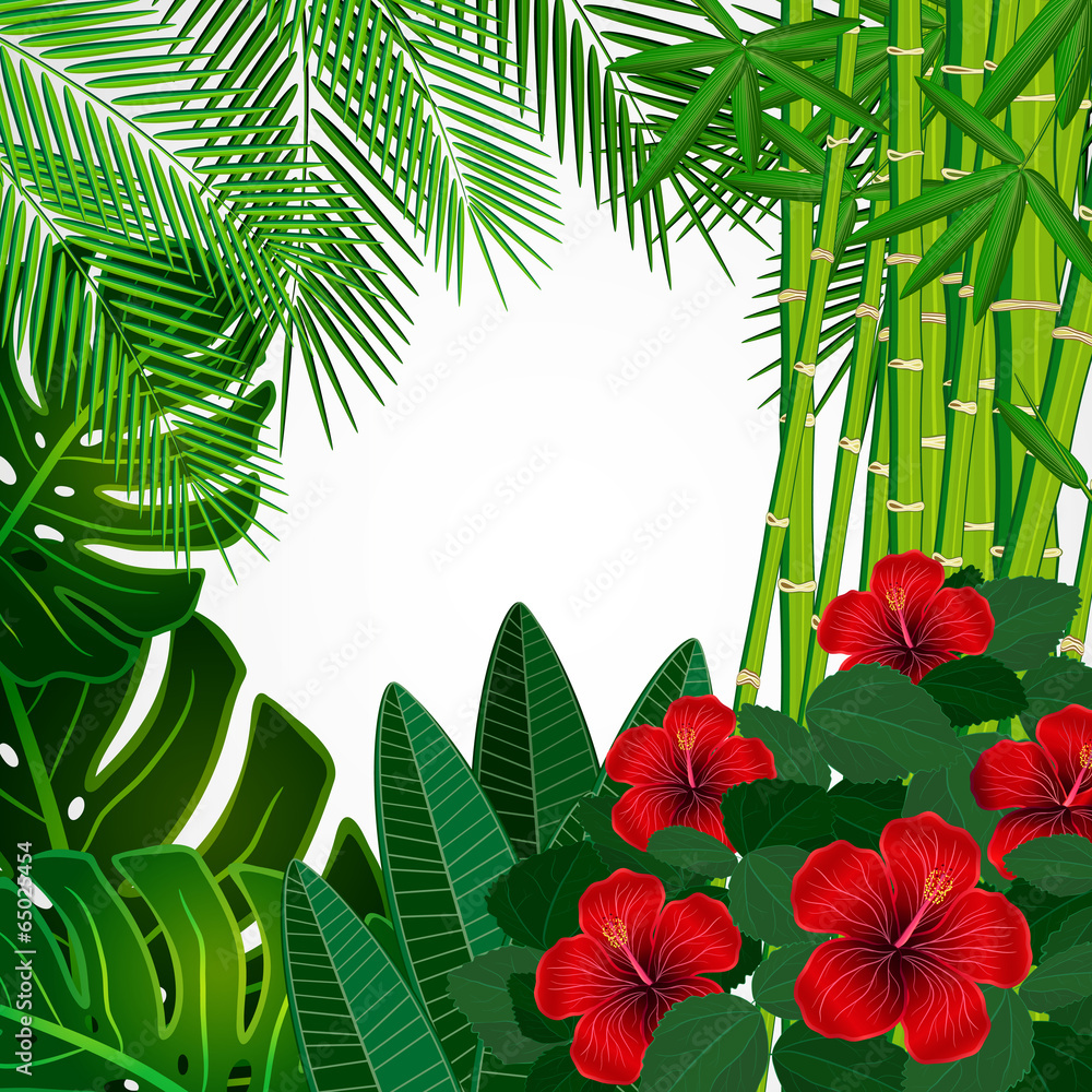Fototapeta premium Tropical floral design background.