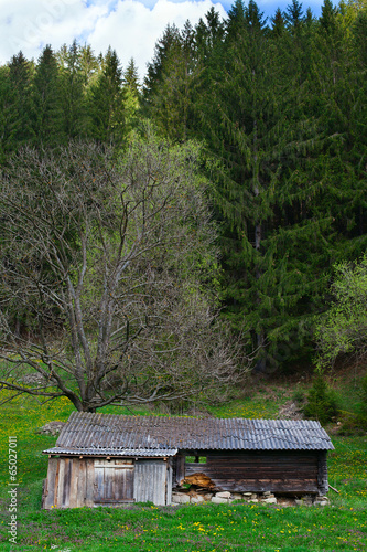 old wooden house in pinewood