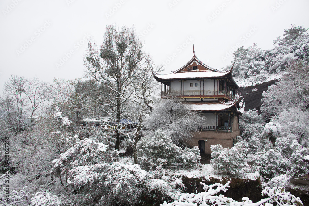 Fototapeta premium The image of beautiful nature