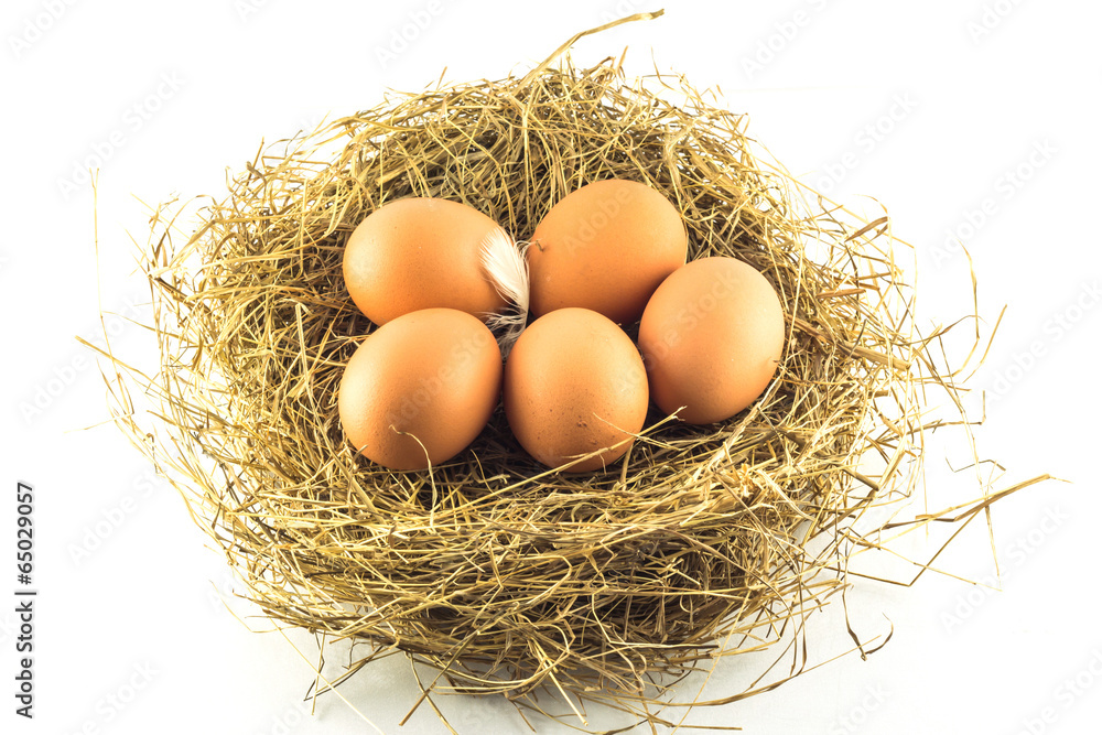 egg egg