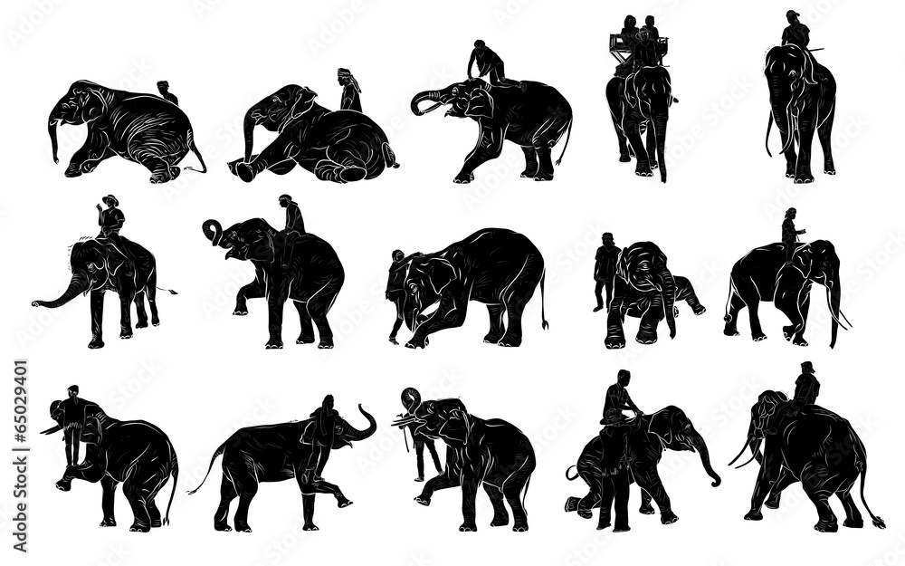 Obraz premium Elephant show and training with mahout