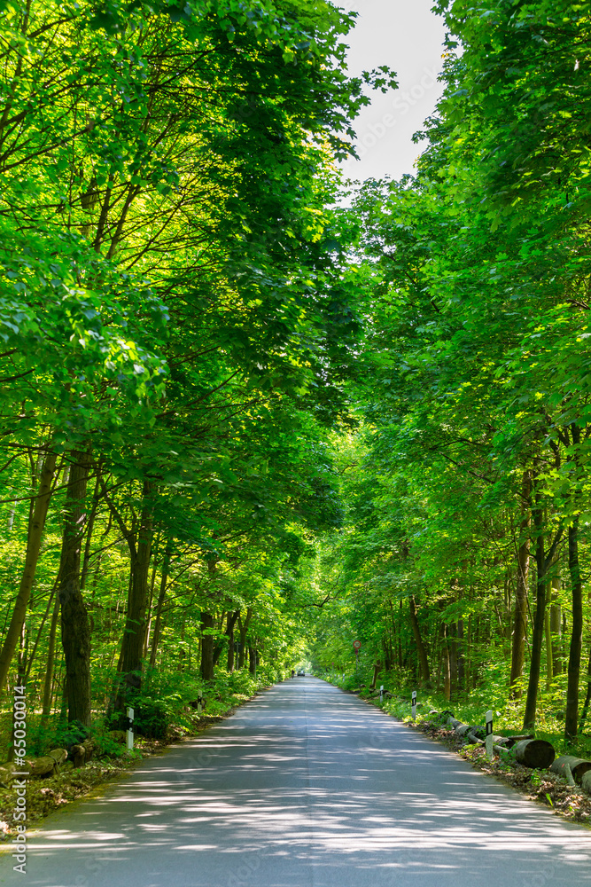 Naklejka premium Landstrasse