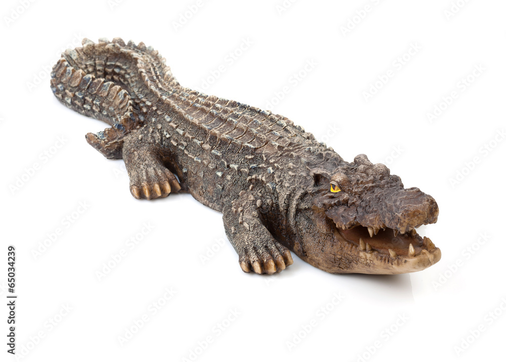 Fototapeta premium Wildlife crocodile open mouth