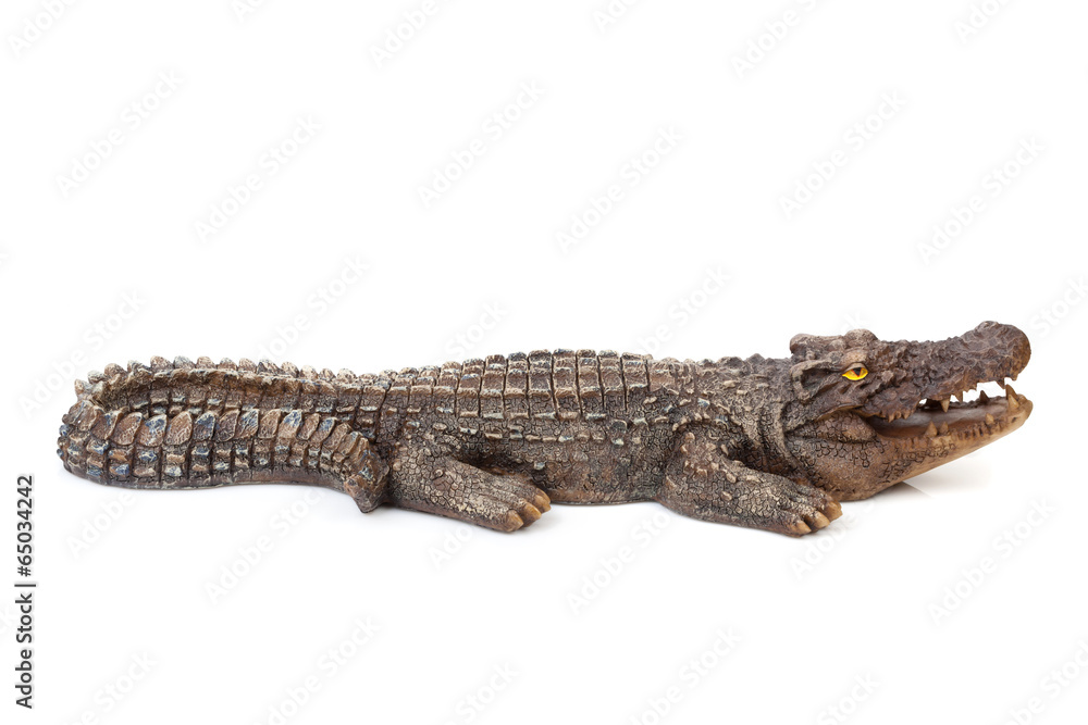 Wildlife crocodile open mouth Wildlife crocodile open mouth