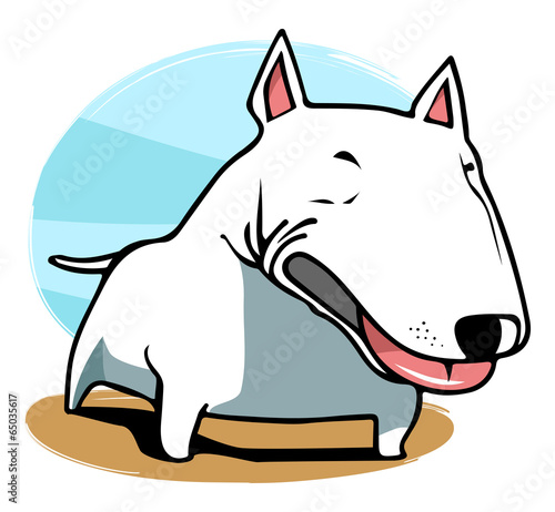 bull terrier