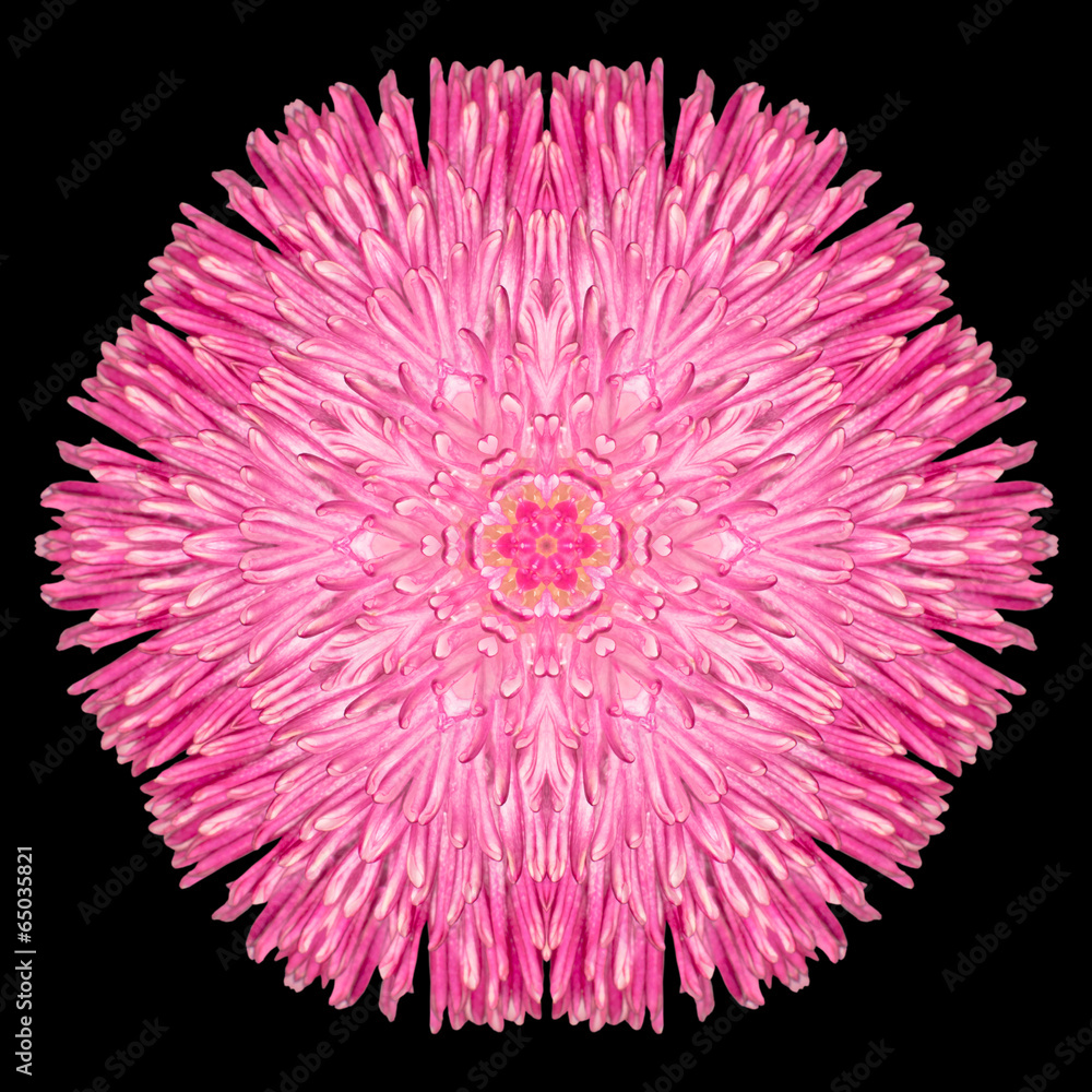 Obraz premium Pink Purple Mandala Flower Kaleidoscope Isolated on Black