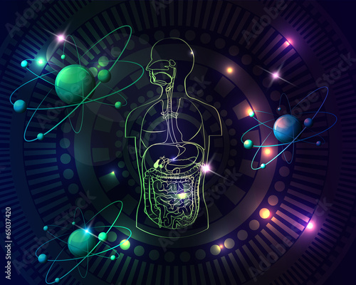 Colorful human anatomy background