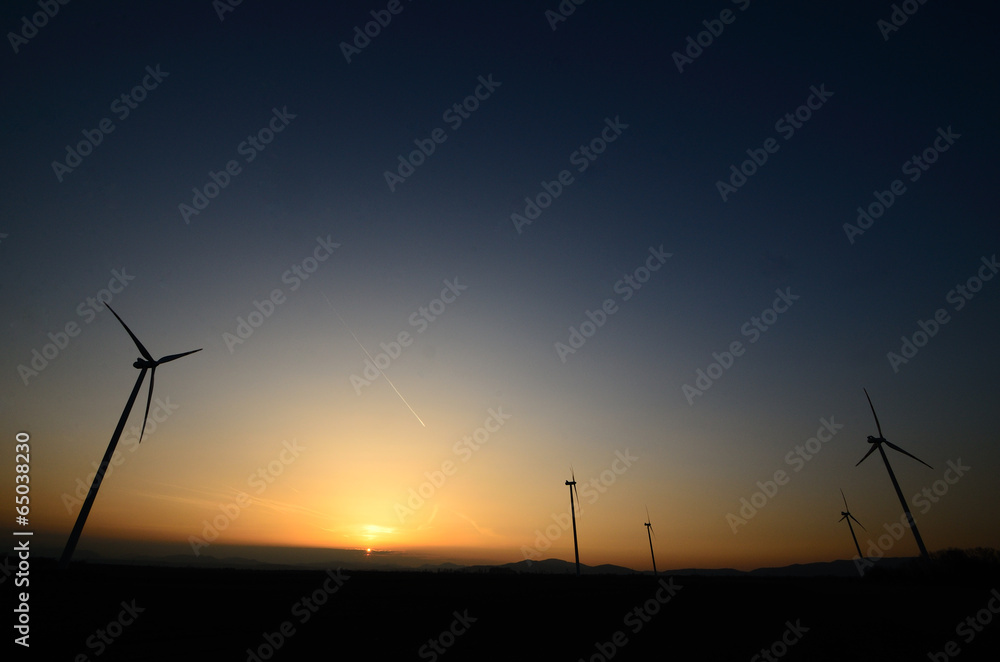 Fototapeta premium windraeder bei sonnenuntergang