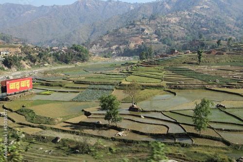 Landwirtschaft in Nepal photo