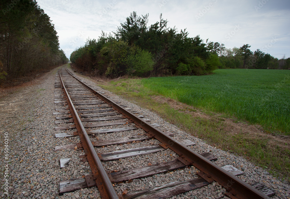 Obraz premium Long curve