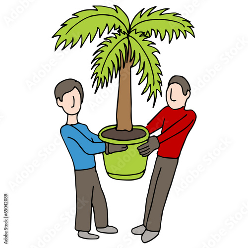 Carrying Potted Palm