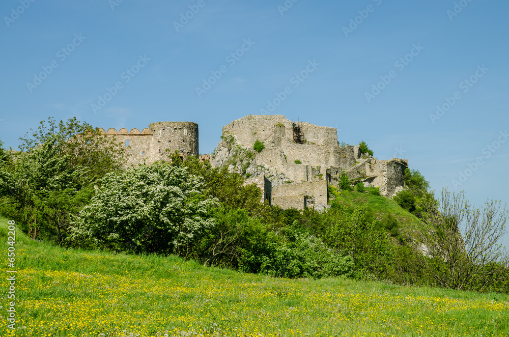 Fototapeta premium old ruins