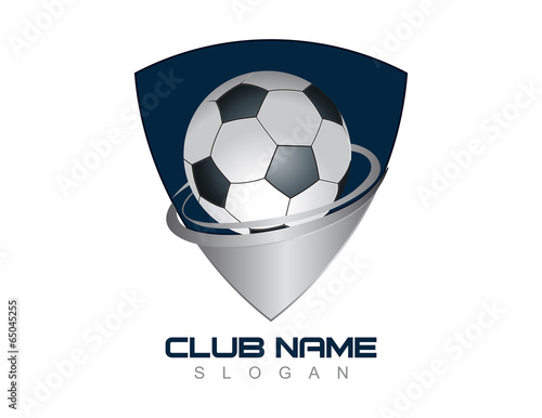 Soccer ball shield