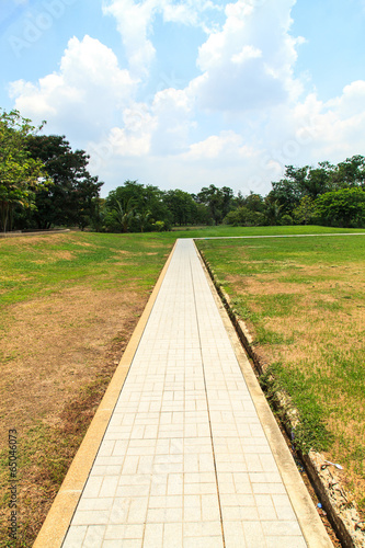 Pathway in beautiful park