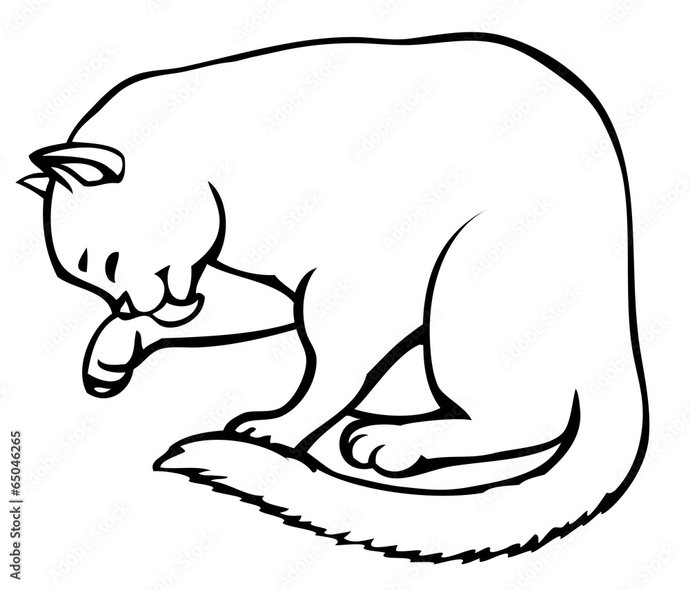 Vector linear drawing. Cute kitten carefully washes Vector linear drawing. Cute kitten carefully washes