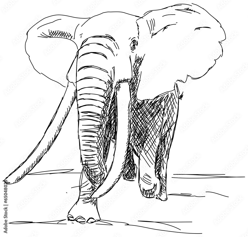Elefant Zoo Afrika Zeichnung zeichnen Handzeichnung Stock Vector Elefant Zoo Afrika Zeichnung zeichnen Handzeichnung Stock Vector