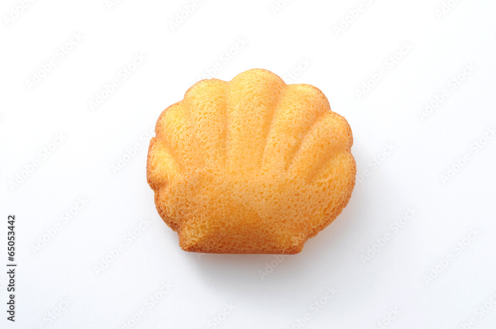 マドレーヌ フランスのお菓子 白背景 Stock 写真 Adobe Stock
