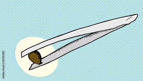 Tweezers and Seed