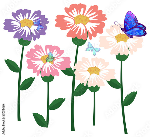 Fresh flowers with butterflies