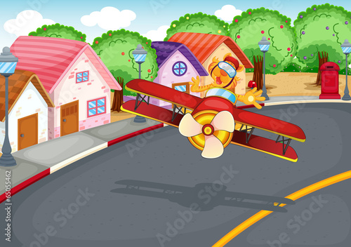 A plane at the village with a tiger