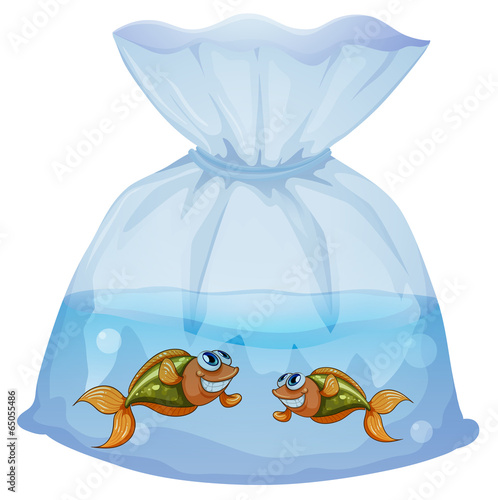 A pouch with fishes
