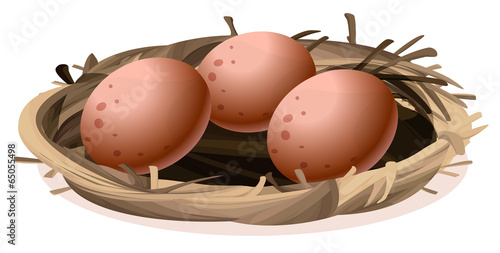 A nest with three eggs