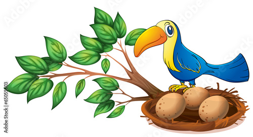 A blue bird above the branch of a tree