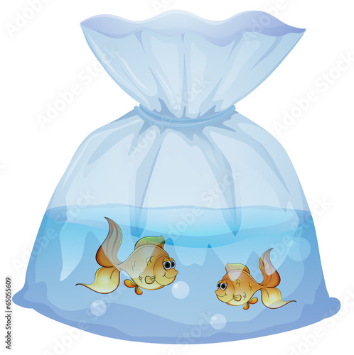 A plastic pouch with two fishes