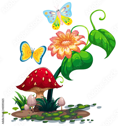 A big flower near the mushroom with two butterflies
