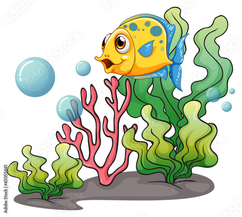 yellow fish with blue fins underwater scene clip art preview