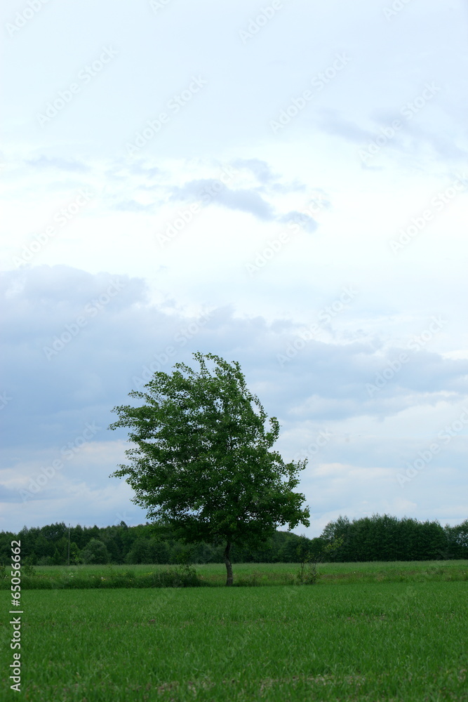 Fototapeta premium chwycić