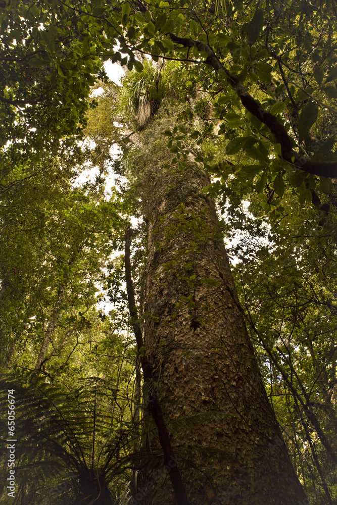 Fototapeta premium The image of beautiful nature