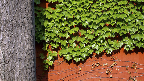 Canvas Print The image of landscape