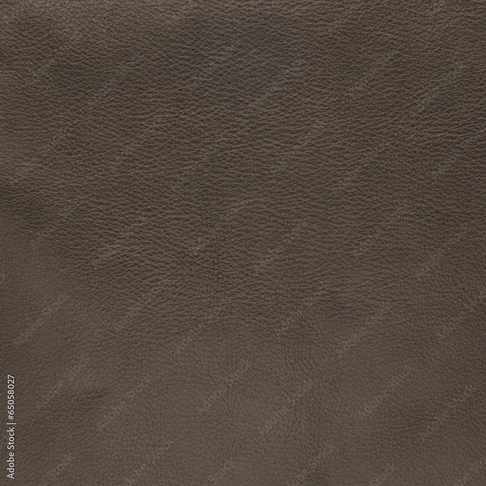 Fototapeta premium Brown leather