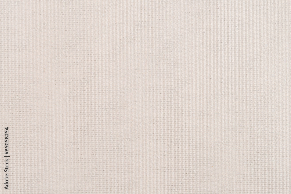 Fototapeta premium Beige vinyl texture