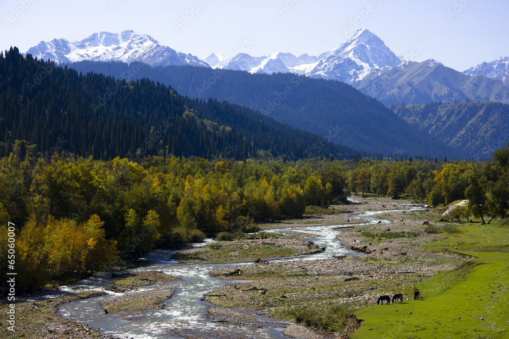 Fototapeta premium The image of beautiful nature