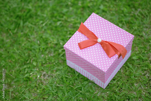 A pink gift box on grass